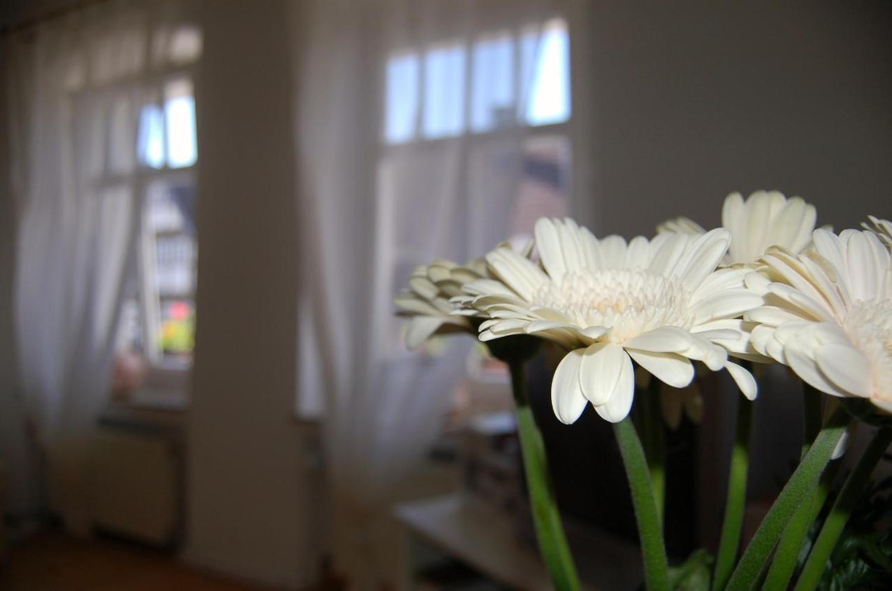 Ferienwohnungen Cafe Cup Detmold Exteriér fotografie
